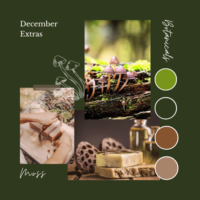December Botanicals Add On Packages - OPENS 1ST NOVEMBER - Natural Fibre Arts