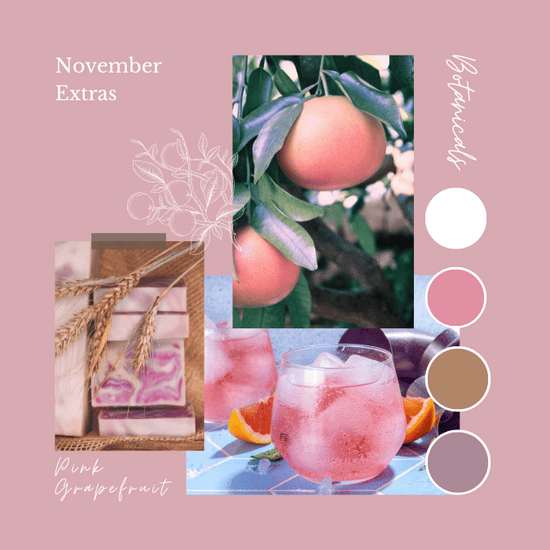 November Botanicals Add On Packages - OPENS 1ST OCTOBER - Natural Fibre Arts