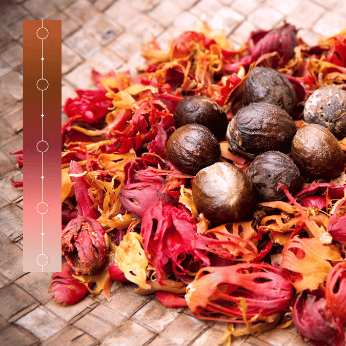 November Spice Market - Nutmeg COMING SOON - Natural Fibre Arts