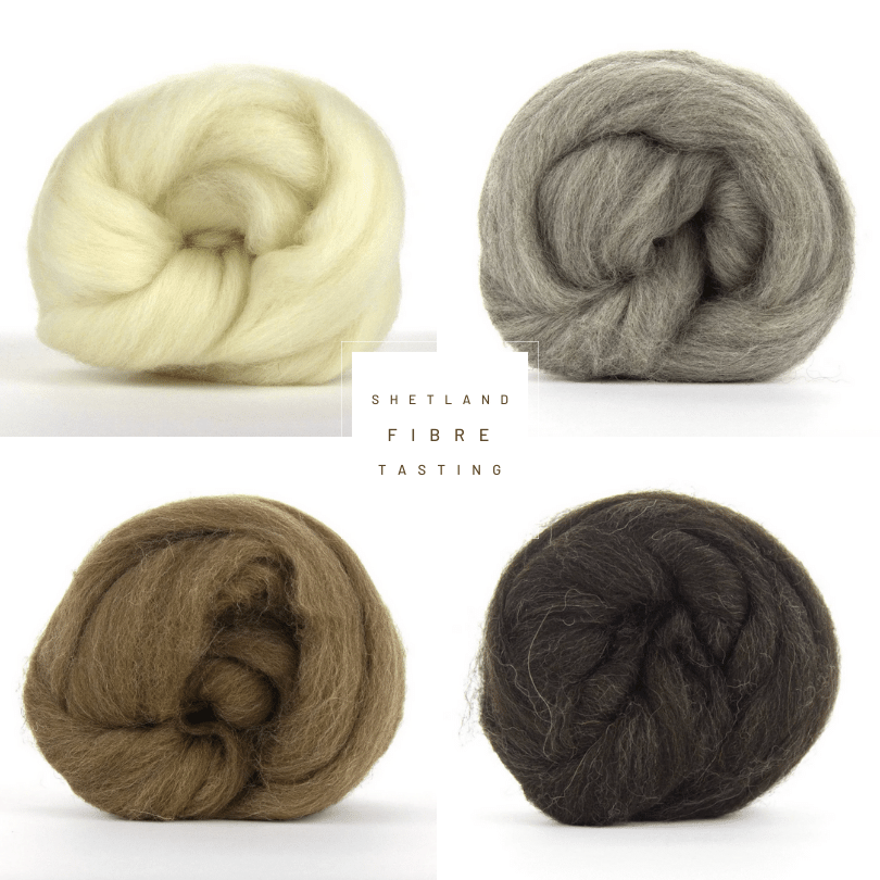 Spinning Fibre | Shetland Wool 100 gram Tops - Natural Fibre Arts
